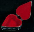 Heart Shaped Fossil Orthoceras Jewelry Box #4879-1
